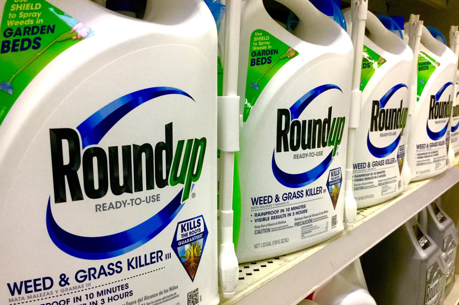 compensatory vs punitive damages in Roundup Case