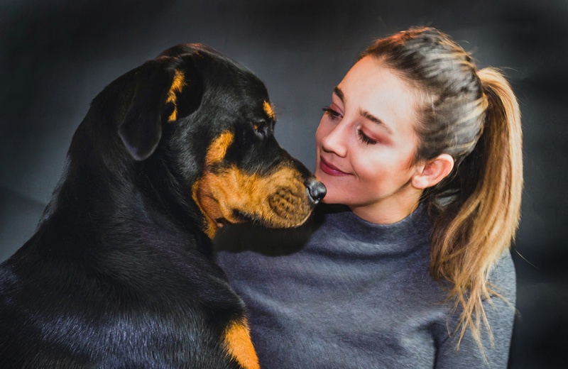 If you've been bitten by a dog, contact dog bite lawyer Gary R. Johnson in Bend Oregon